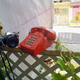 Illustration for article titled Shooting Challenge: Cellphone Gallery Part 7